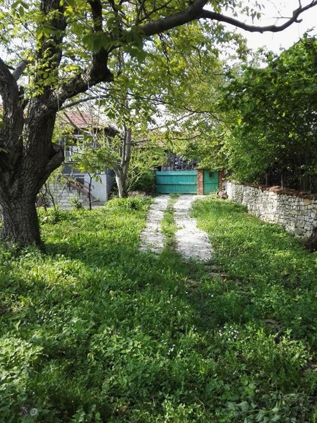 Beefree Villa Gorsko Slivovo Luaran gambar